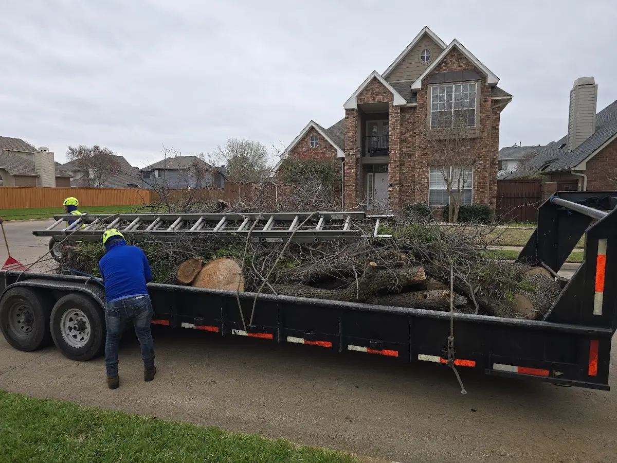 Expert Tree Fertilization with proper safety equipment in Bartonsville